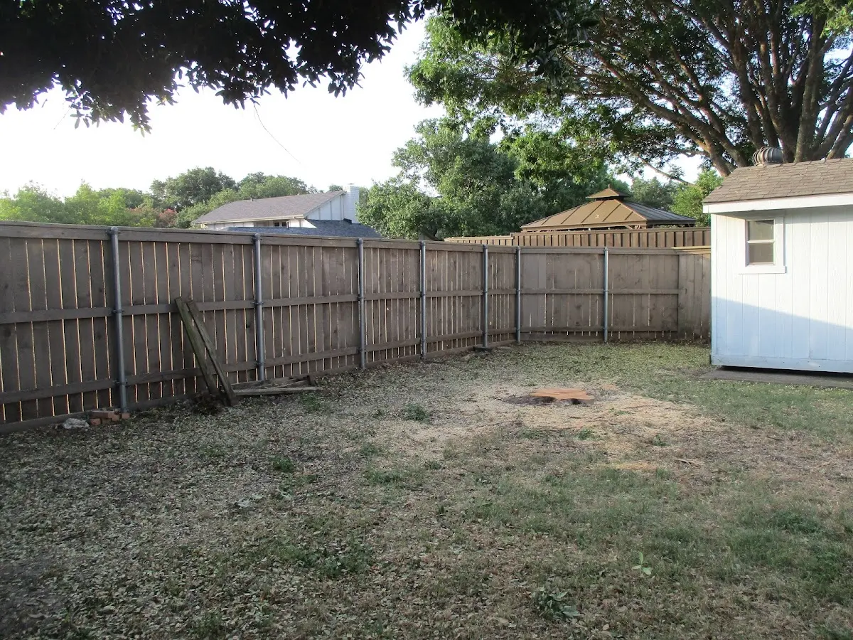 Cleared yard after professional tree removal in Rosston